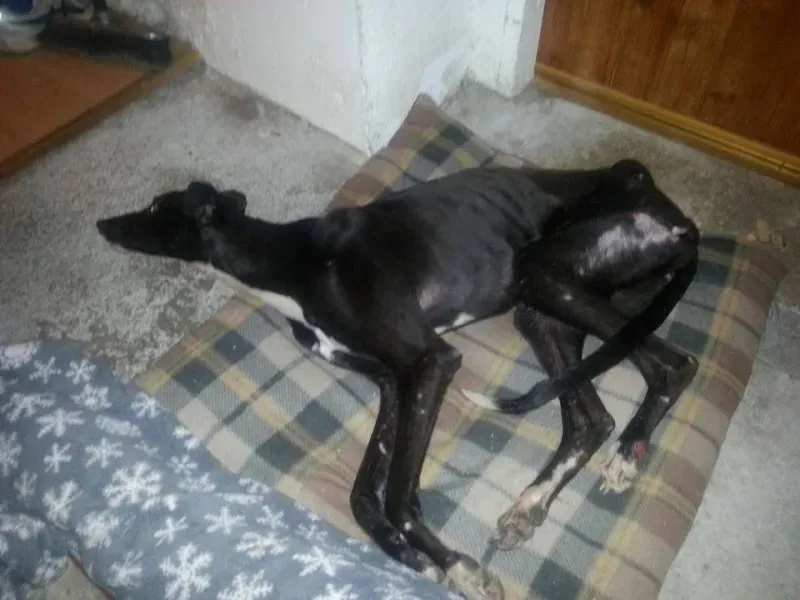 1489273 606351716084664 629328657 n