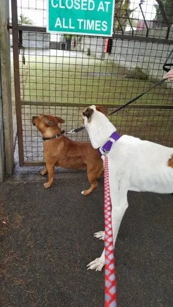 14894426 10209646510613129 27439931 o