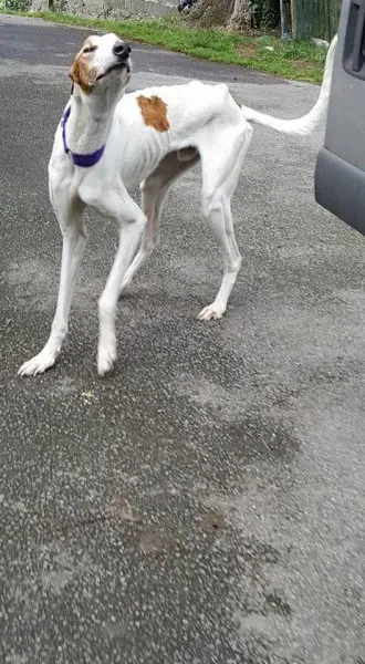 14900348 10154681002331255 627712509780479229 n