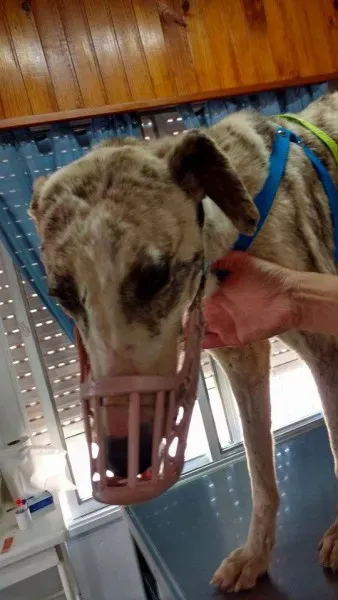 14900459 1262973747096564 469061130165143336 n