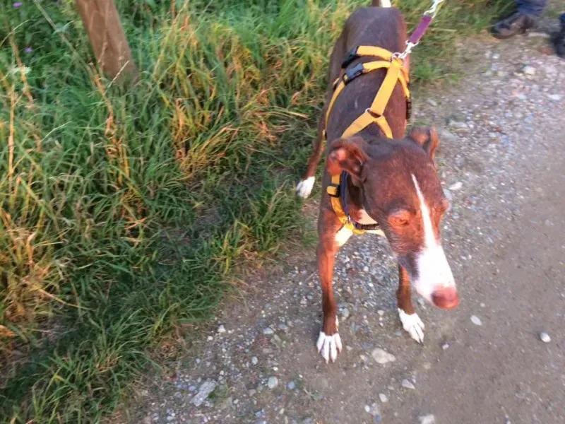 14906887 10208739613460378 2921102017626978003 n