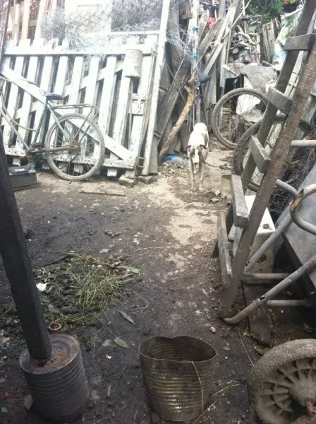 14907142 1262989370428335 6304470159162060554 n