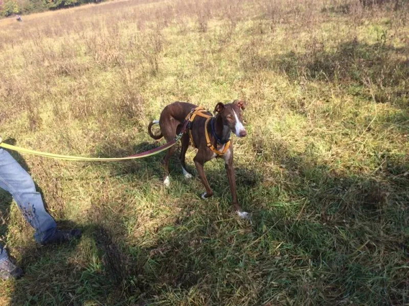 14908246 10208737664611658 2582954324248059704 n