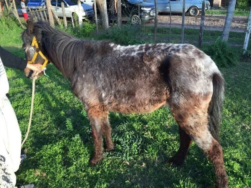 14910306 1262989963761609 6688470475128729685 n