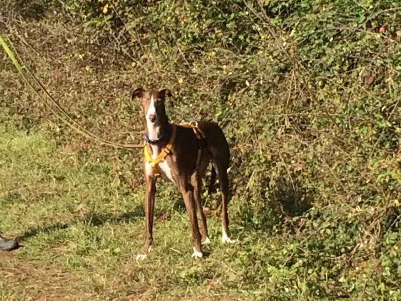 14910396 10208737666571707 5070320031177438330 n