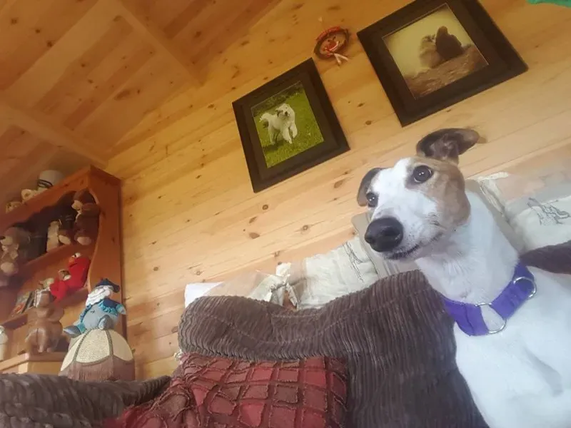 14910581 10154697253666255 4798441703734472771 n