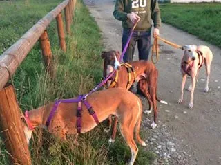 14915143 10208739612140345 3089944929338992358 n