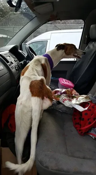 14915159 10154681004516255 6043000050770720503 n