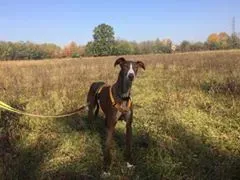 14915211 10208737664011643 1828859807507702109 n