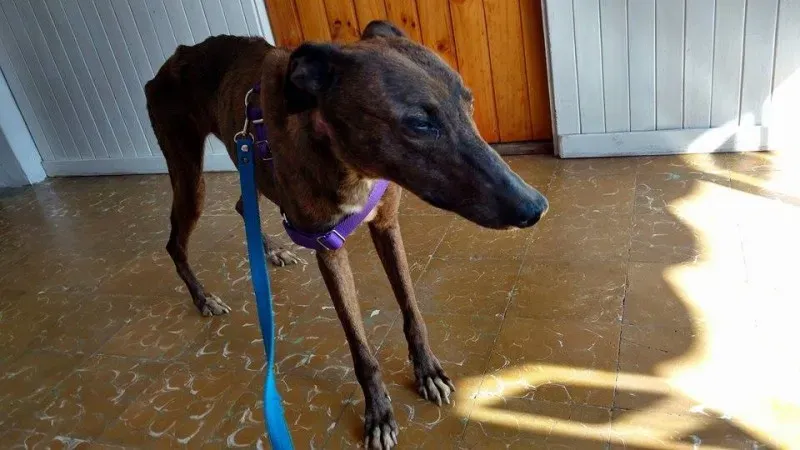 14915236 1262977930429479 4104734309180107884 n