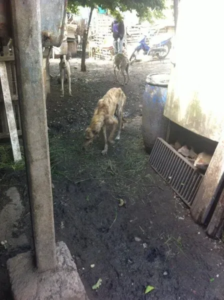 14915488 1262990007094938 2285656341179371916 n