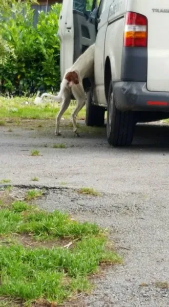 14915686 10154681004196255 469089003985559084 n