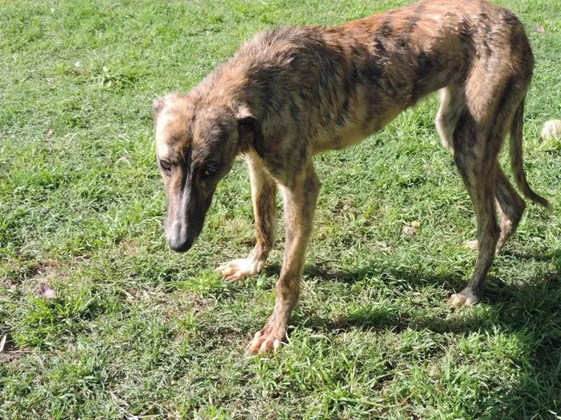 14917166 1262979793762626 7655707034639986906 o