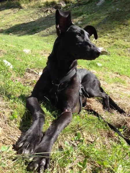 1491782 10208473701870902 1574167682590988116 n