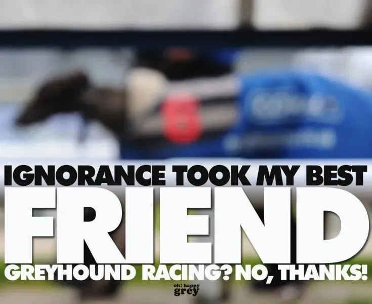 1492227 388879627911309 1386769926 o