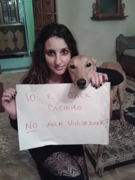 1492341 10201813514237292 199997911 o