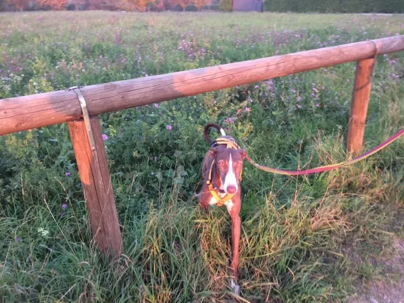 14925259 10208739613660383 3495887340602086344 n