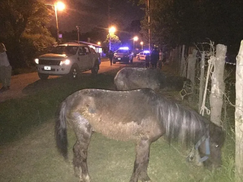 14925305 1262989467094992 7238433187858790967 n