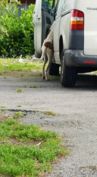 14925343 10154681004311255 6999305156715205349 n