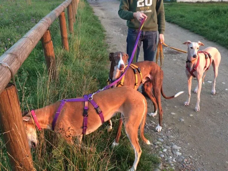 14925399 10208739612220347 1336916843505195784 n