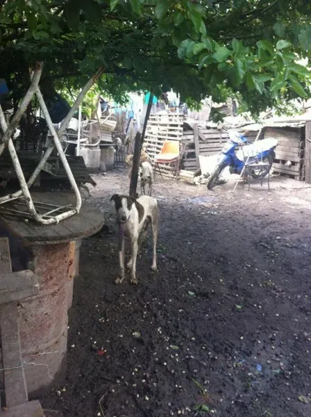 14925698 1262989393761666 2541344503165927086 n