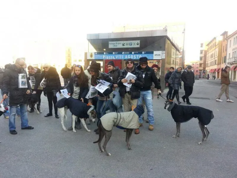 1493192 10201790284811236 176637699 n1