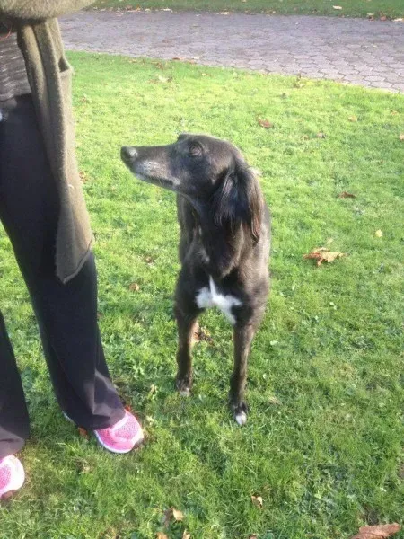 14937861 197064917415828 674811000 n