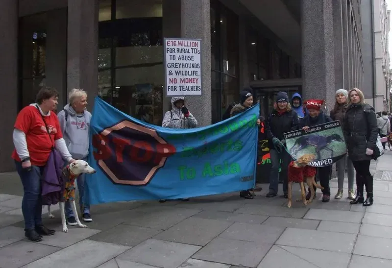 14938120 1486229484726036 779155167710393861 n