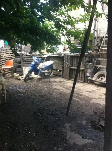 14938138 1262989417094997 2690876415561095365 n