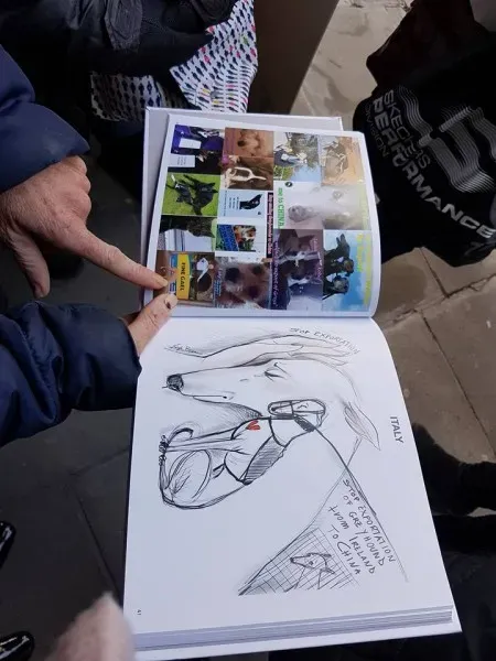 14938334 1486229238059394 7082207959181394653 n