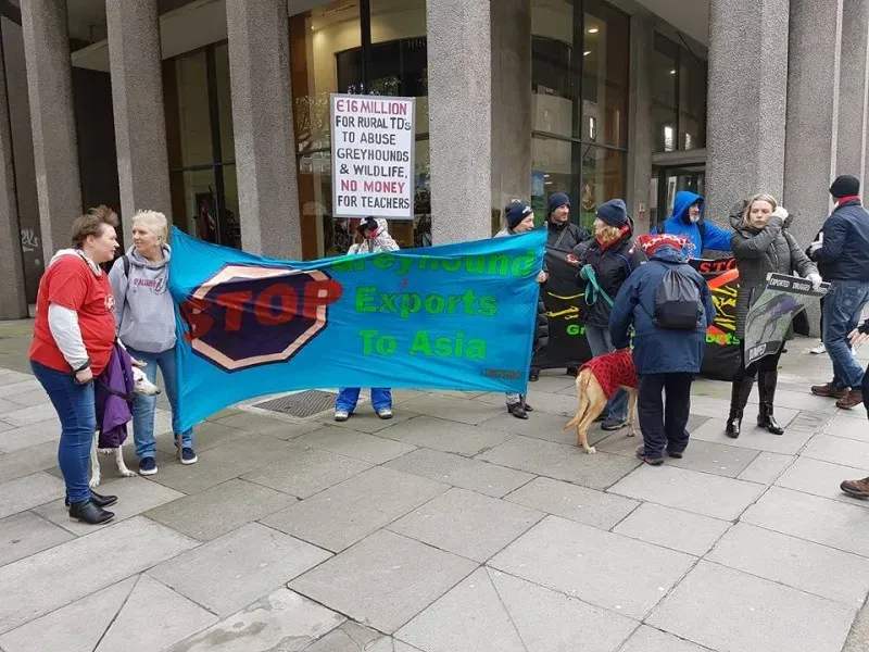 14947540 1486229348059383 41821035214514226 n