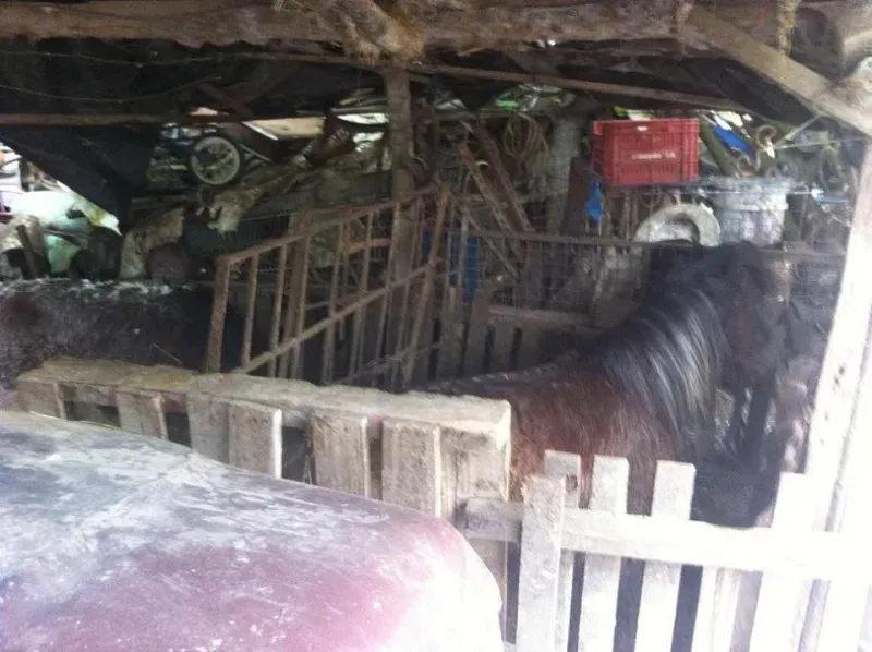 14947554 1262989500428322 6850997766410097495 n