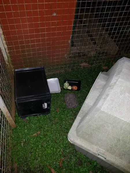 14947616 1263196183740987 5814455929425671156 n