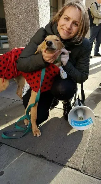 14947679 1486229524726032 8744128923796319997 n