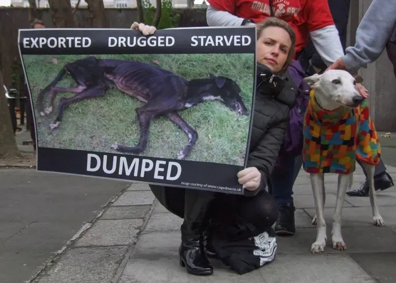 14947687 1486228918059426 5376049242083394435 n