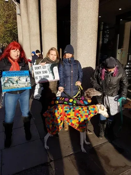 14947726 1486228588059459 6373632225353748478 n