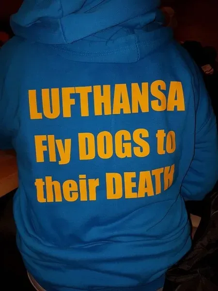 14947780 1486228654726119 2230803842096880371 n