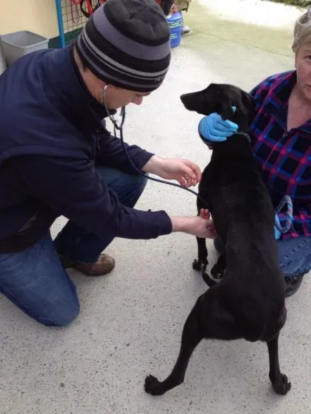 1495445 1602608366633811 5163710620684849744 n