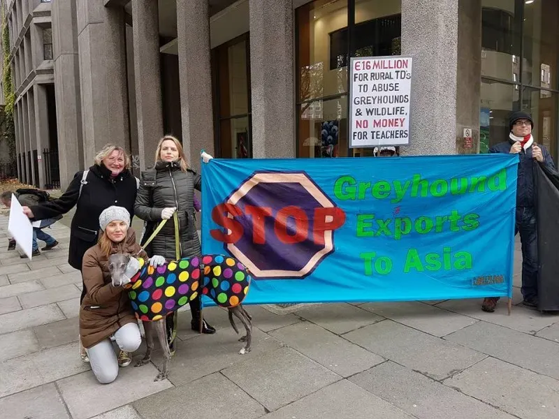 14955830 1486229371392714 2878794422887914892 n 1