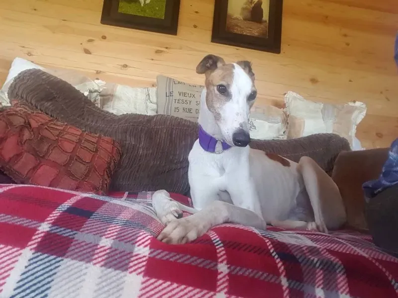 14956560 10154697251956255 4909403601935926637 n