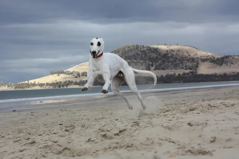 1496006 1434968893403321 1844434707 o