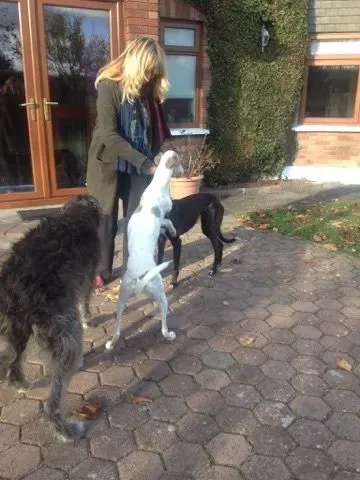 14962390 197065940749059 1056311803 n