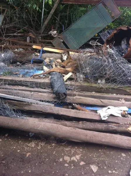 14962780 1262989850428287 1592912453518136307 n 1