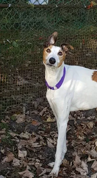 14963276 10154697254146255 7312776177732589033 n