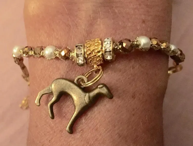 14963287 10208712794069641 3581378101144086454 n