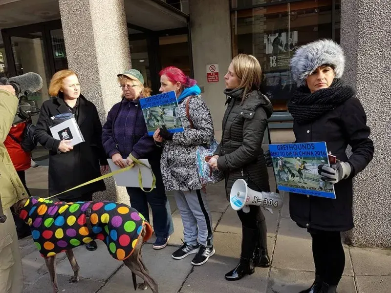 14963301 1486228451392806 8355867986960705144 n