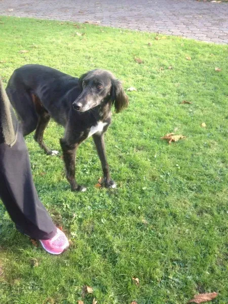 14970959 197065047415815 1105778638 o