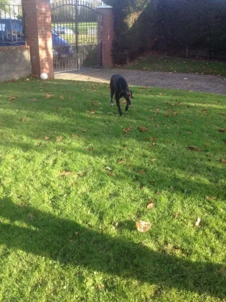 14971223 197065857415734 1110158404 n