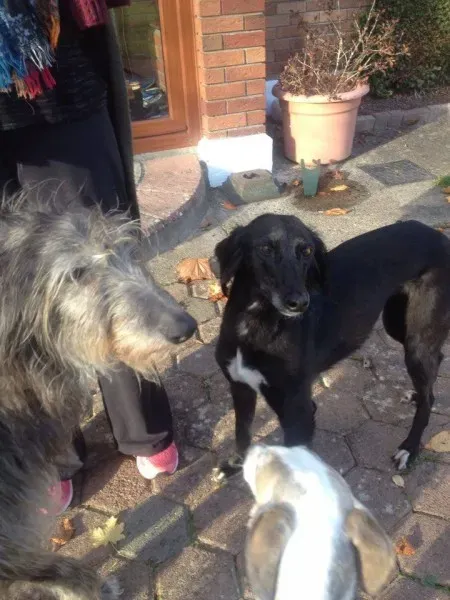 14971346 197066544082332 1330765948 n