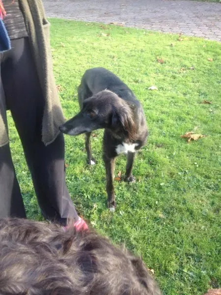 14971639 197064974082489 988346931 o